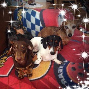 Meet your Posher, Steve